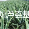 刘乃富的一亩田店铺