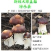 吴烈钱的一亩田店铺