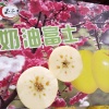 李旭亮的一亩田店铺