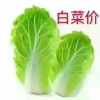 杨荣健的一亩田店铺
