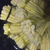 金秋绿蔬的一亩田店铺