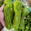 王茂峰的一亩田店铺