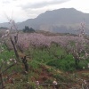 杨和熙的一亩田店铺