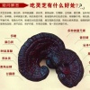 山东新冠灵芝科技有限公司的一亩田店铺