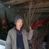 杨建国的一亩田店铺