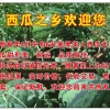 伟鲜瓜果的一亩田店铺