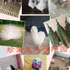 菏泽开发区英发养殖场的一亩田店铺