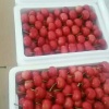 鑫友果疏专业合作社的一亩田店铺