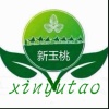 新疆新玉桃农产品有限责任公司的一亩田店铺
