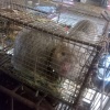 陈良勇的一亩田店铺