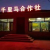 五常市千里马水稻种植合作社的一亩田店铺