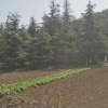 焦伟的一亩田店铺
