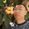 云聚力会理石榴供应链的一亩田店铺