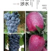 天水市麦积区裕盛和种植家庭农场的一亩田店铺