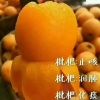果农种植的一亩田店铺