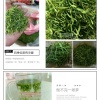 隆回友好湘蕾金银花种植合作社的一亩田店铺