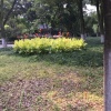 德富农贸水产的一亩田店铺