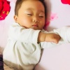 山东聊城佰惠蔬菜实力代收的一亩田店铺