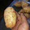 刘明华的一亩田店铺