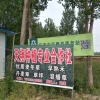 曹县天翔合作社的一亩田店铺