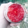 浩滨生态农场的一亩田店铺