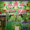 禾得乐药肥的一亩田店铺