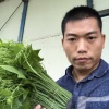 李贺明的一亩田店铺