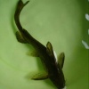 张廷芳的一亩田店铺