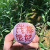 刘德权的一亩田店铺