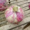 李凯的一亩田店铺