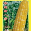 广州市聚宝农业科技有限公司的一亩田店铺