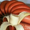 何钦宗的一亩田店铺