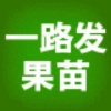 广西灵山县一路发果苗有限公司的一亩田店铺