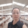 定襄县大南庄暖洋洋养殖合作社的一亩田店铺