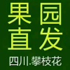 孙建勇的一亩田店铺