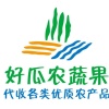 豫疏优鲜农业的一亩田店铺