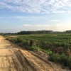 平度市万增丰公司的一亩田店铺