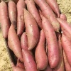 张兴达的一亩田店铺