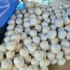 吉昌涛的一亩田店铺