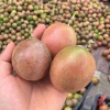 南宁福越来贸易有限公司的一亩田店铺