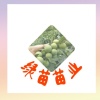 方绿野的一亩田店铺