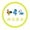 杨静的一亩田店铺