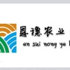 东营市垦利区恩穗农业开发有限责任公司的一亩田店铺
