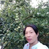 杜道萍的一亩田店铺