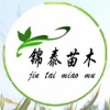 苍溪县锦泰苗木有限公司的一亩田店铺