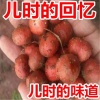 何少浚的一亩田店铺