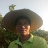 罗谭学兴的一亩田店铺