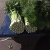 定西芹菜的一亩田店铺