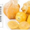 史春梅的一亩田店铺