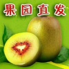 妍果妹水果经营部的一亩田店铺